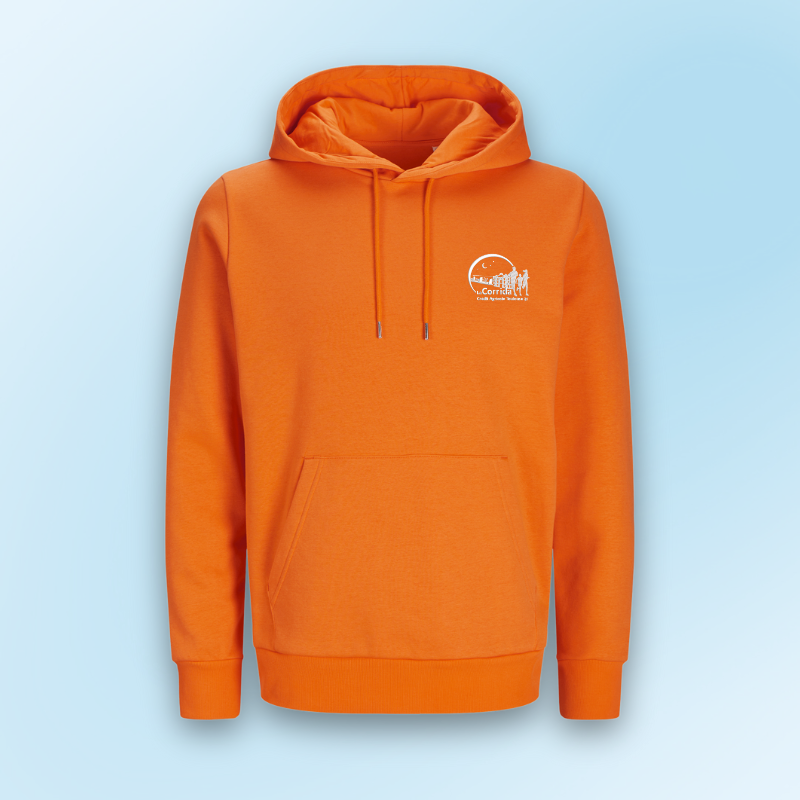 Sweat à capuche unisexe
